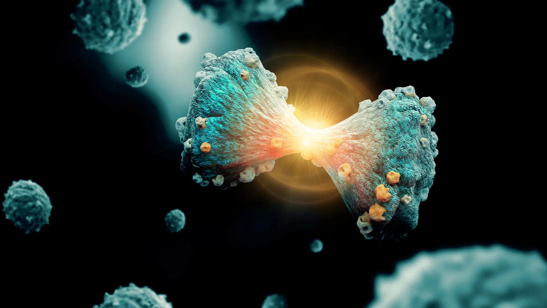 Scientists uncover a hidden switch that helps cancer cells thrive